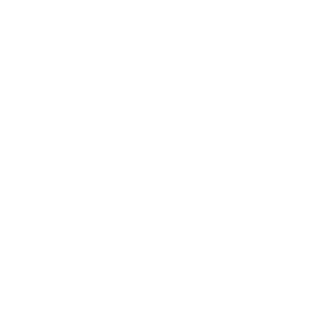Sun Cruiser
